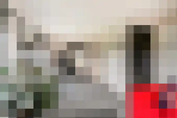Werverweg 8 Wapenveld thumbnail 46