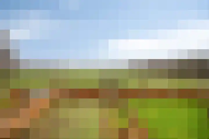 Werverweg 8 Wapenveld thumbnail 47