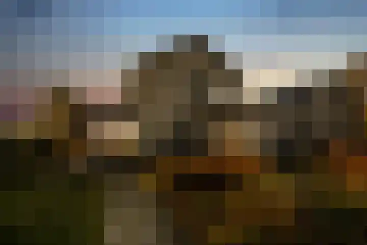 Werverweg 8 Wapenveld thumbnail 52