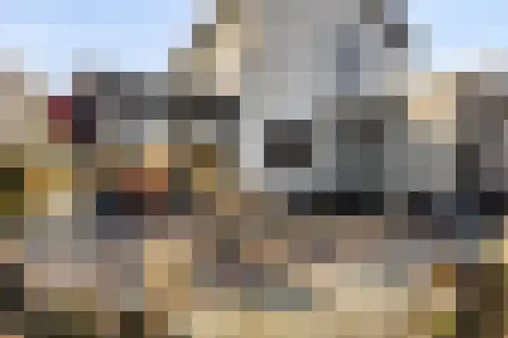 Werverweg 8 Wapenveld thumbnail 53