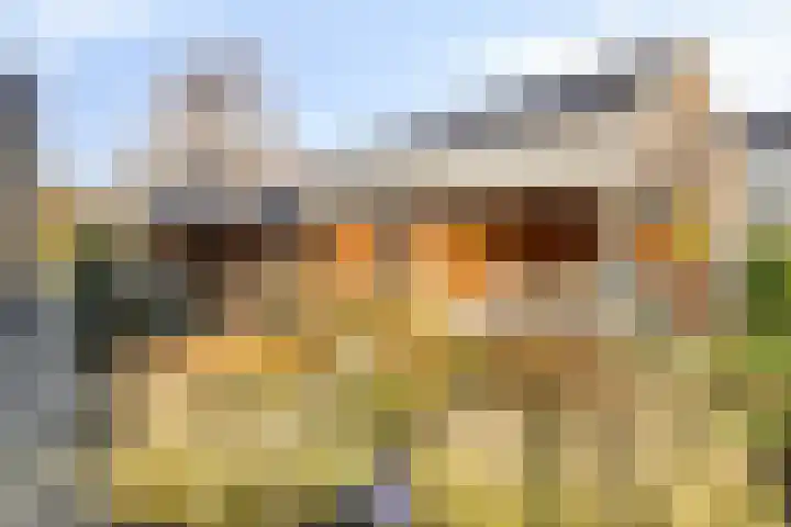 Werverweg 8 Wapenveld thumbnail 56