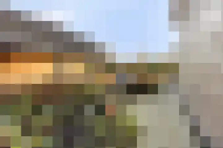 Werverweg 8 Wapenveld thumbnail 59