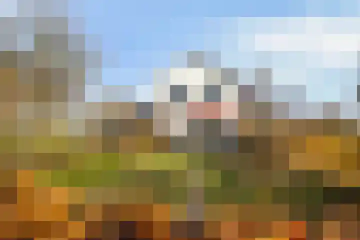 Werverweg 8 Wapenveld thumbnail 6