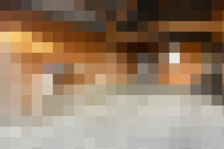 Werverweg 8 Wapenveld thumbnail 60