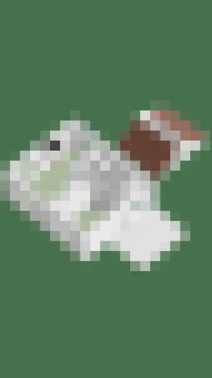 Werverweg 8 Wapenveld thumbnail 67