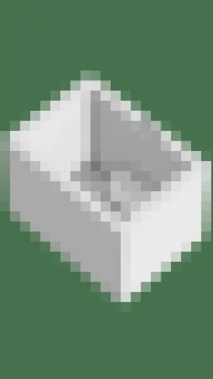 Werverweg 8 Wapenveld thumbnail 69