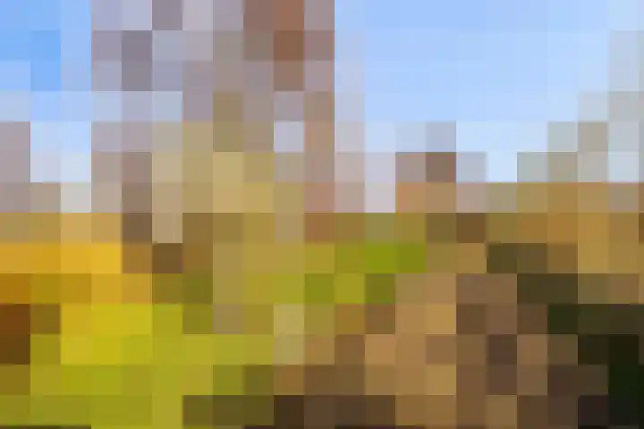 Werverweg 8 Wapenveld thumbnail 7
