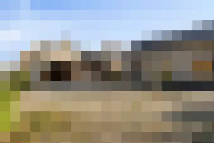 Werverweg 8 Wapenveld thumbnail 8