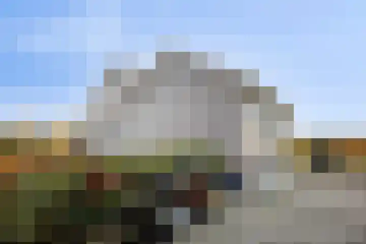Werverweg 8 Wapenveld thumbnail 9