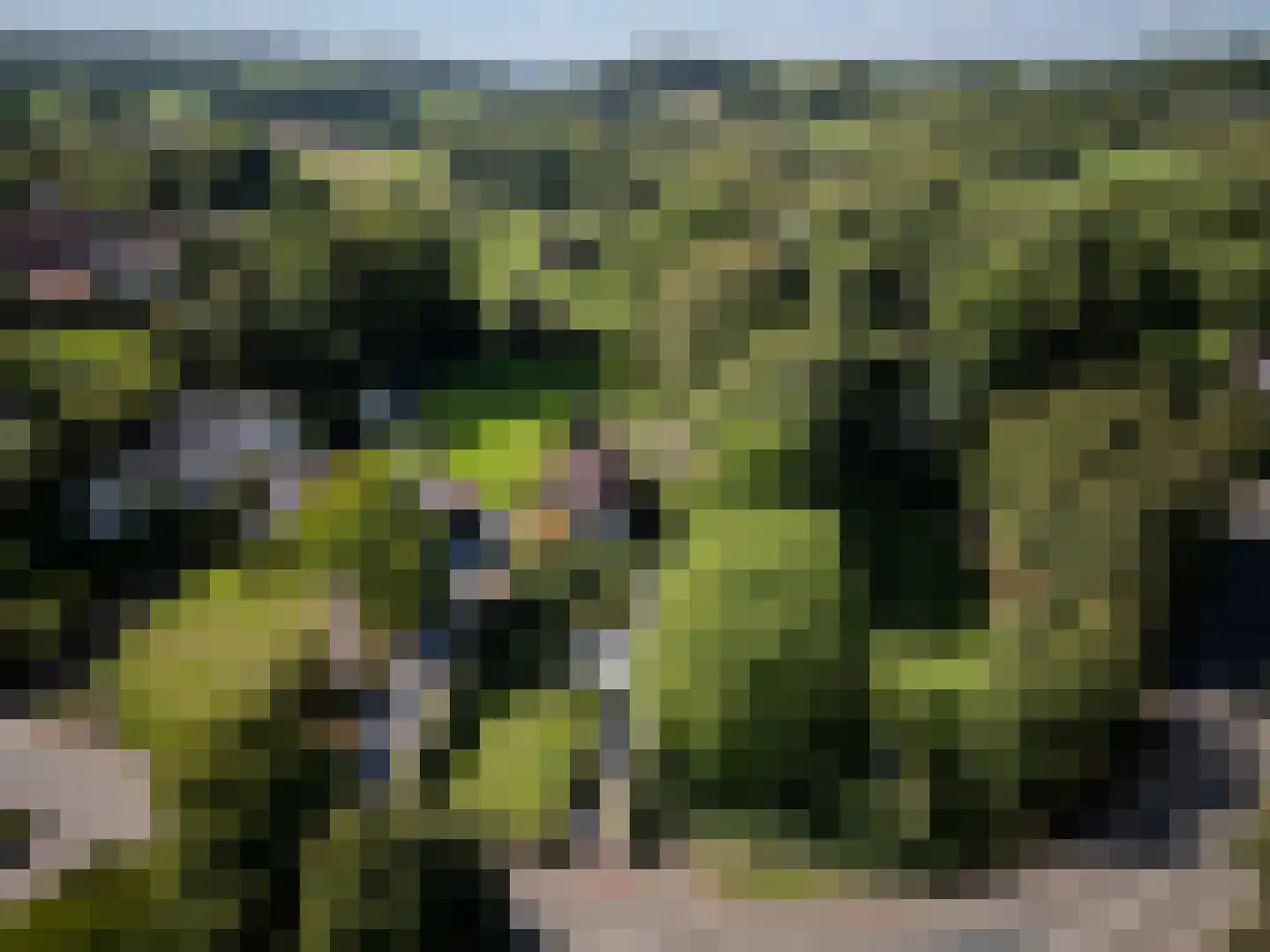 Wesch 6 Noorbeek thumbnail 4