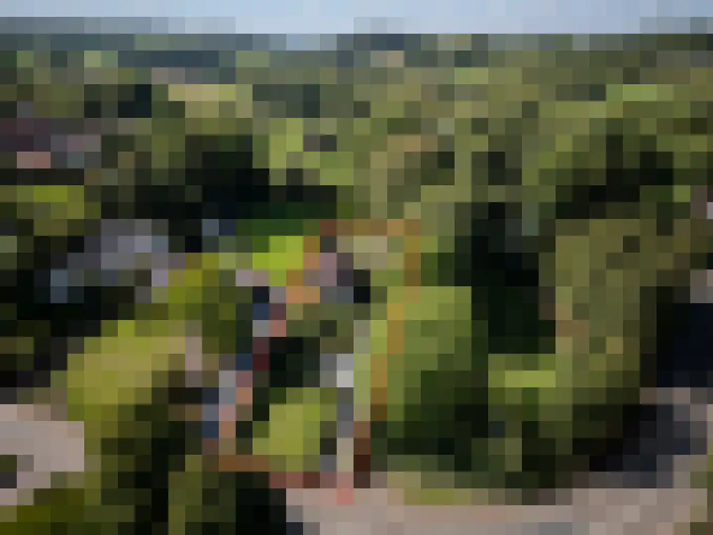 Wesch 6 Noorbeek thumbnail 41
