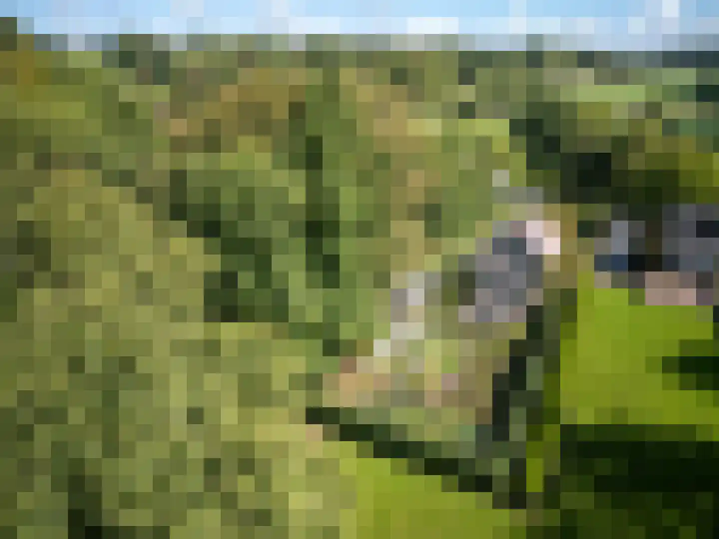 Wesch 6 Noorbeek thumbnail 42