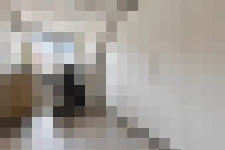 Wesdijkleede 23 Barendrecht thumbnail 12