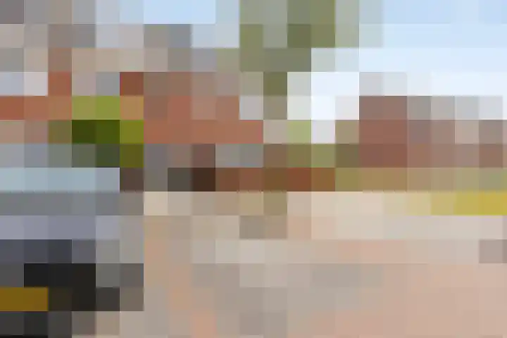 Wesdijkleede 23 Barendrecht thumbnail 20