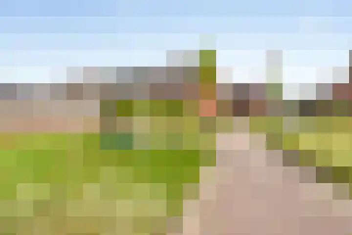 Wesdijkleede 23 Barendrecht thumbnail 22