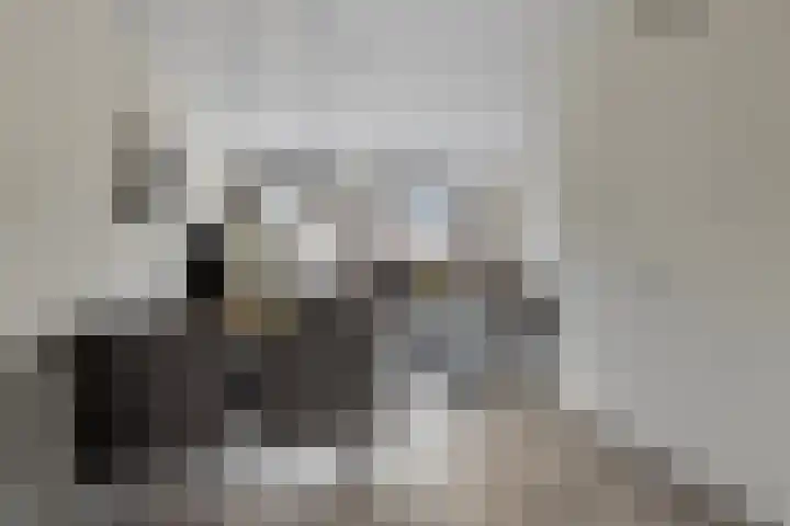 Wesdijkleede 23 Barendrecht thumbnail 5