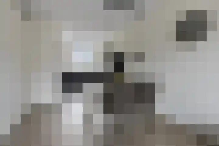 Wesdijkleede 23 Barendrecht thumbnail 6