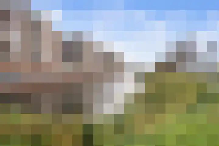Wesdijkleede 50 Barendrecht thumbnail 33