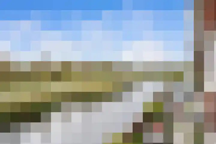 Wesdijkleede 50 Barendrecht thumbnail 4