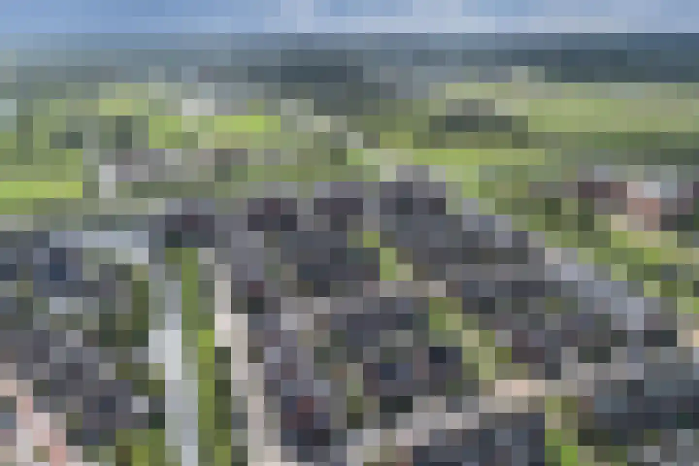 Wesdijkleede 96 Barendrecht thumbnail 34