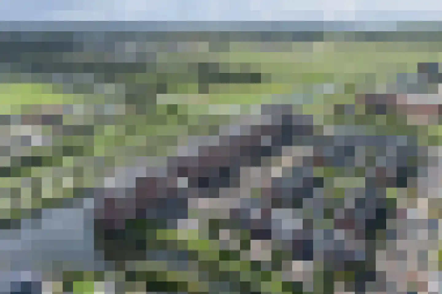 Wesdijkleede 96 Barendrecht thumbnail 37