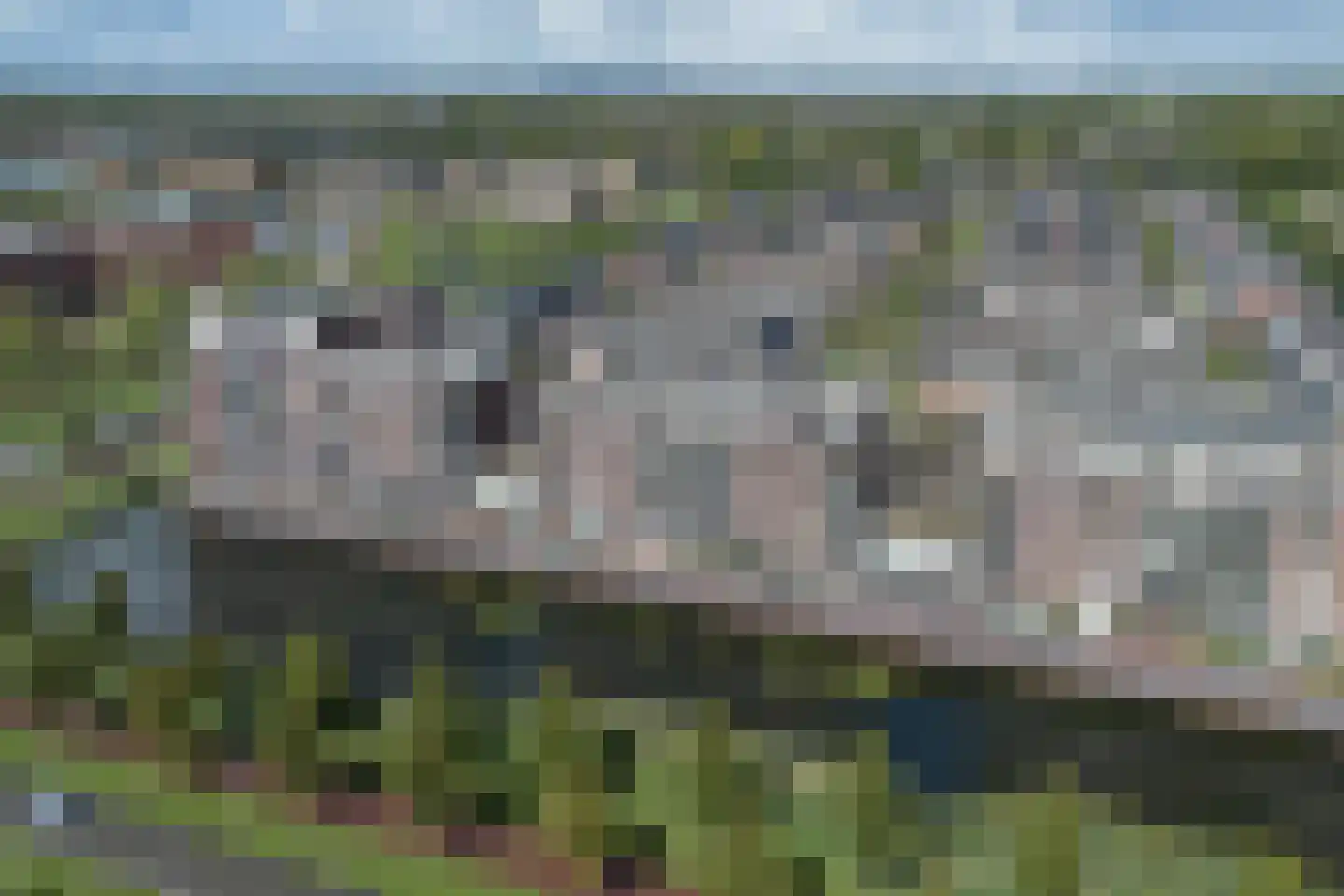 Wesdijkleede 96 Barendrecht thumbnail 39
