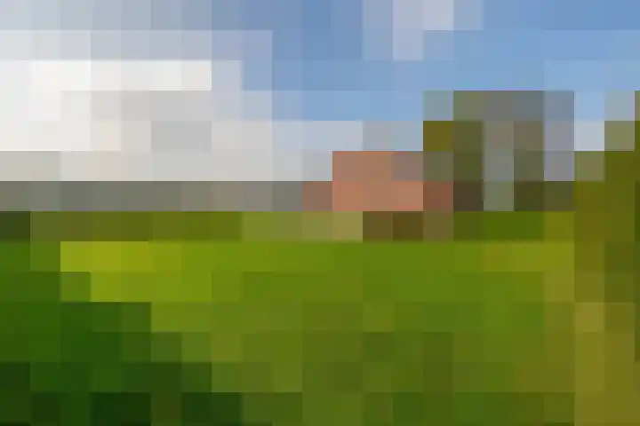 Weselseweg 16 Venlo thumbnail 41