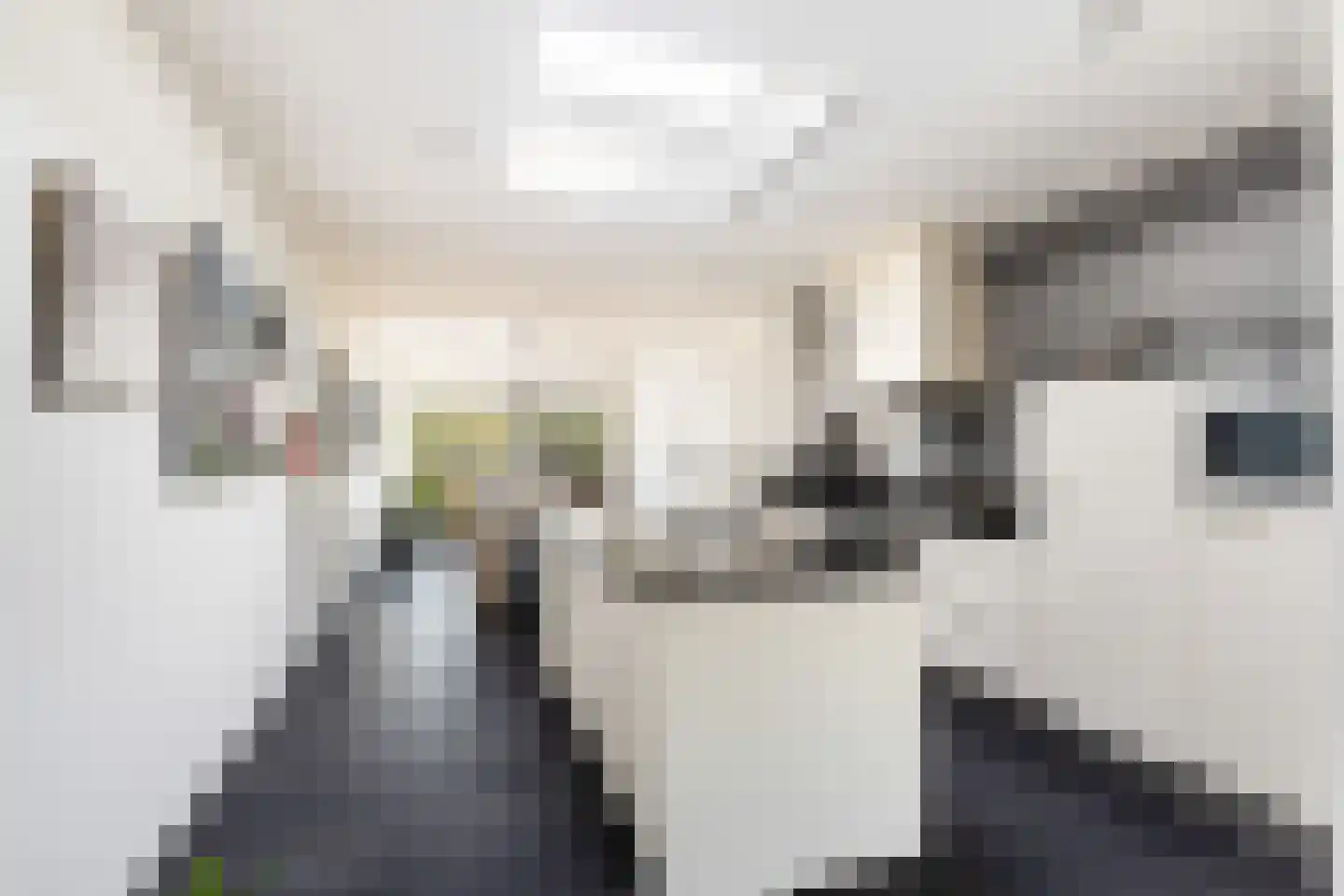 Wesemaelestraat 22 Wouw thumbnail 23