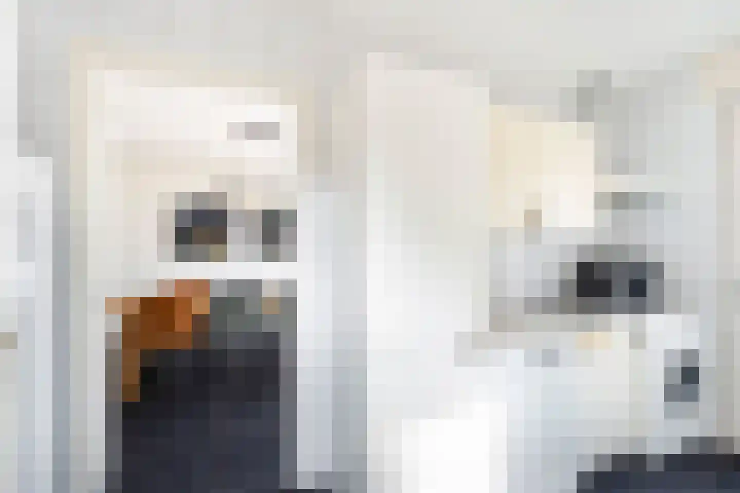 Wesemaelestraat 22 Wouw thumbnail 25