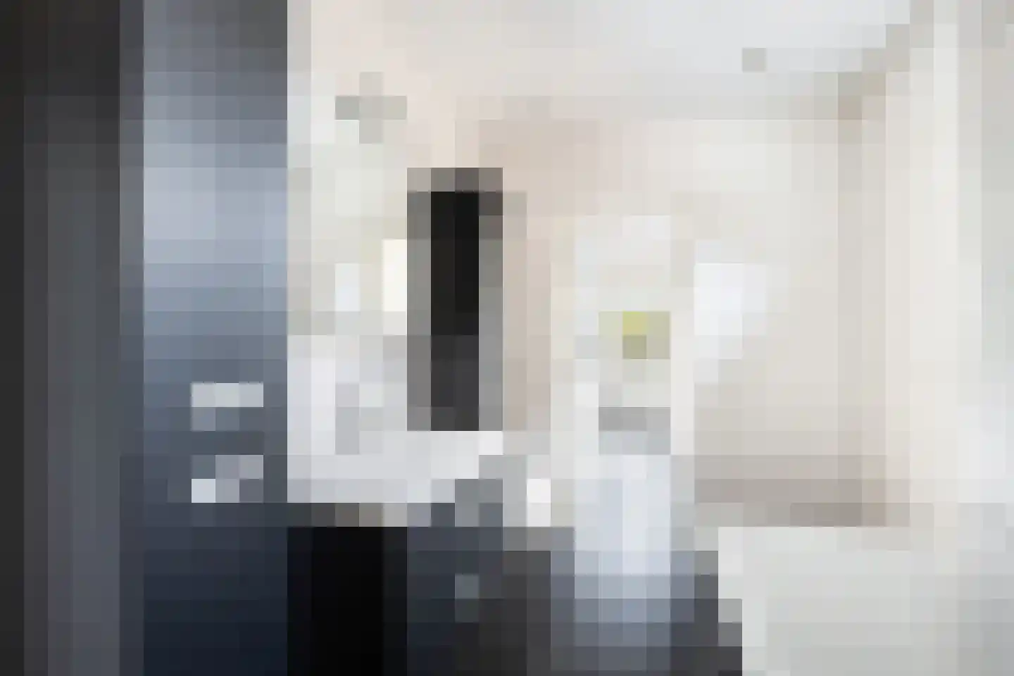 Wesemaelestraat 22 Wouw thumbnail 30