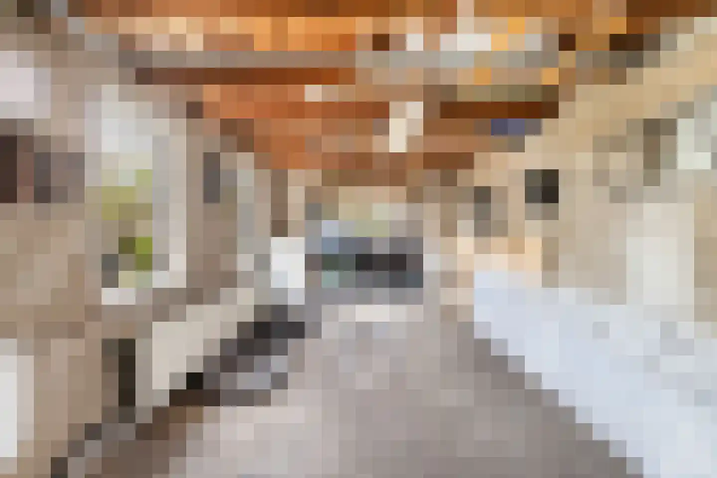 Wesemaelestraat 22 Wouw thumbnail 44