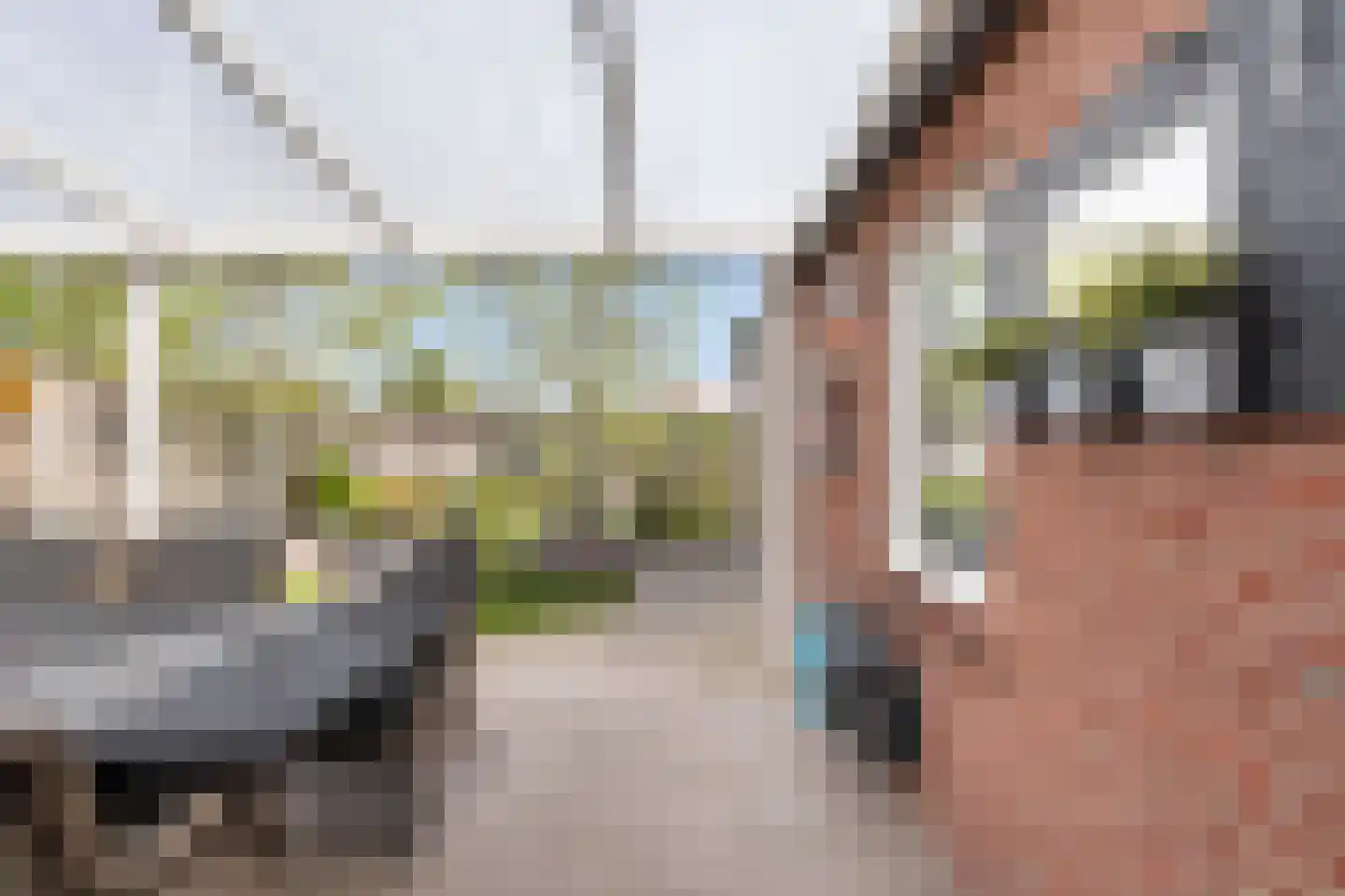 Wesemaelestraat 22 Wouw thumbnail 46