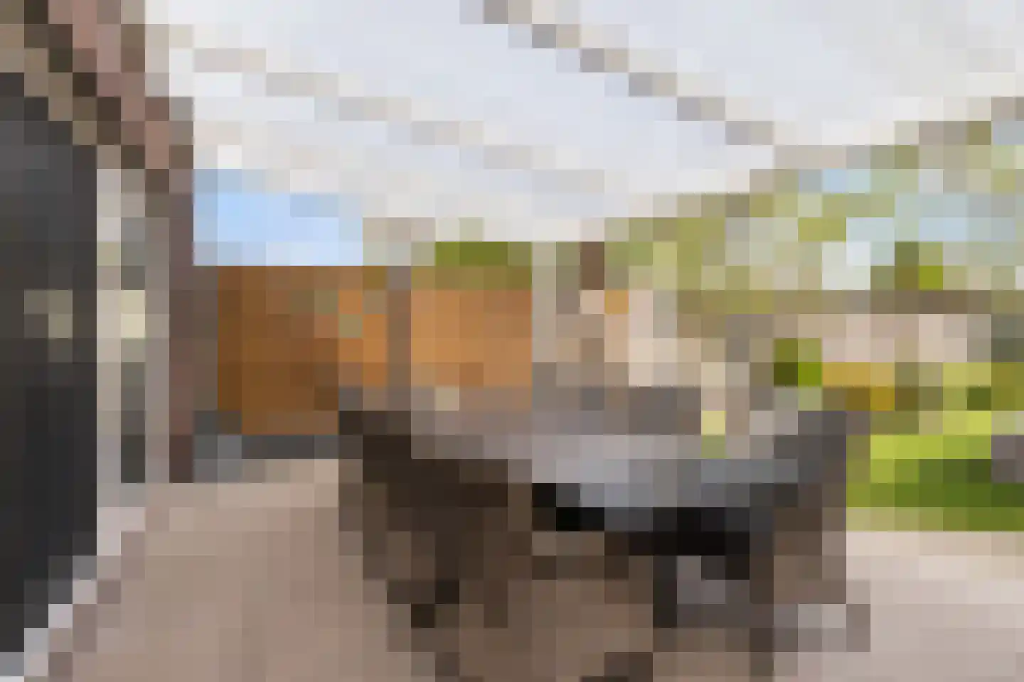Wesemaelestraat 22 Wouw thumbnail 47