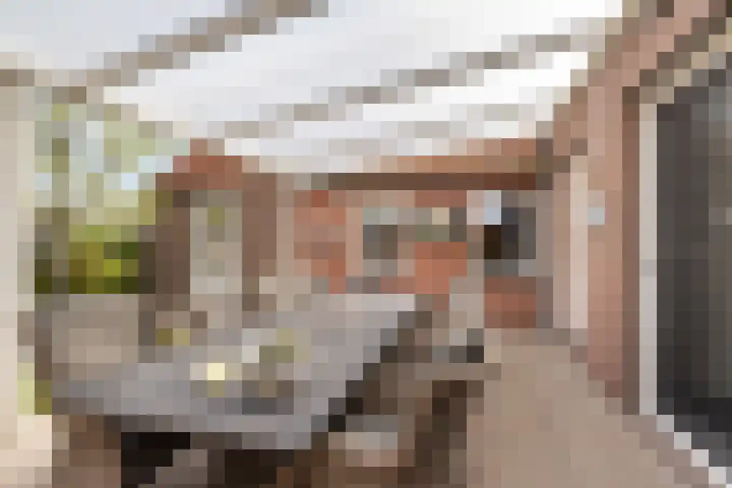 Wesemaelestraat 22 Wouw thumbnail 48