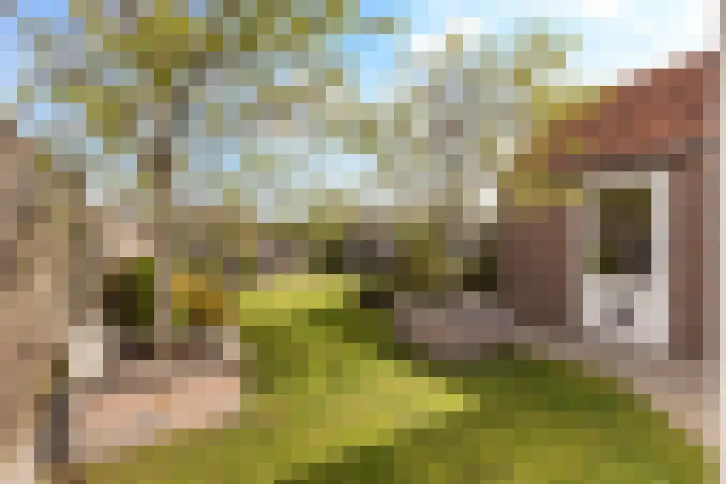 Wesemaelestraat 22 Wouw thumbnail 50