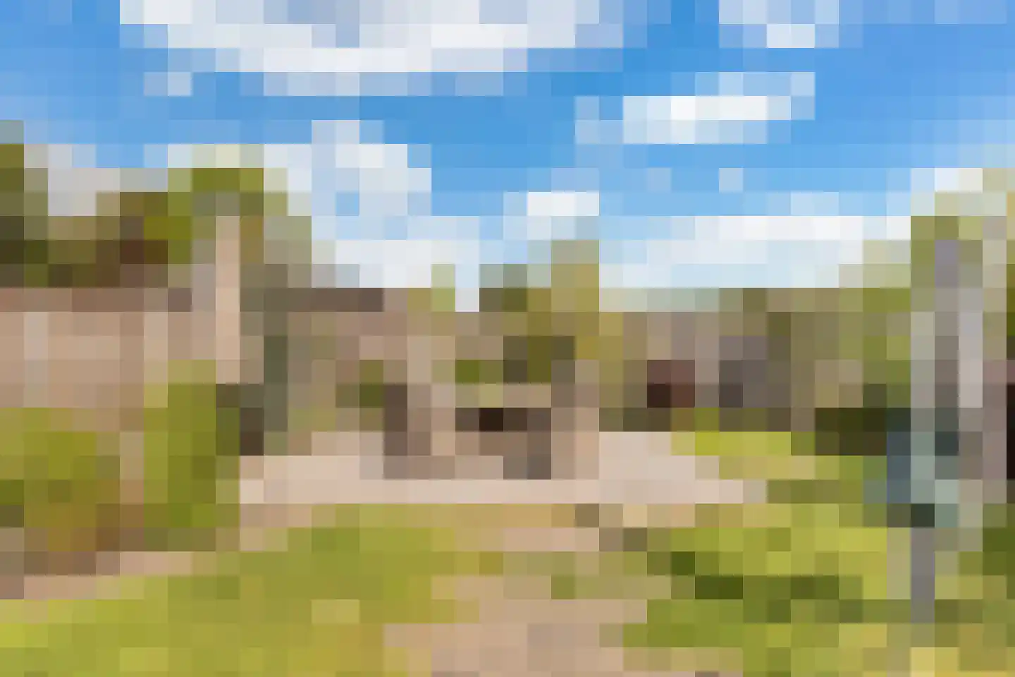 Wesemaelestraat 22 Wouw thumbnail 52