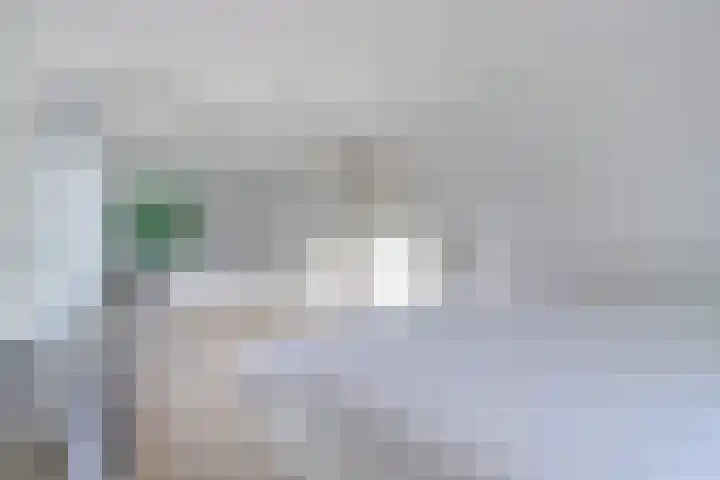 Wesemaelestraat 23 Wouw thumbnail 15