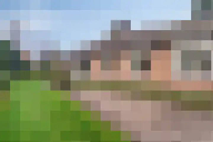 Wesemaelestraat 23 Wouw thumbnail 26