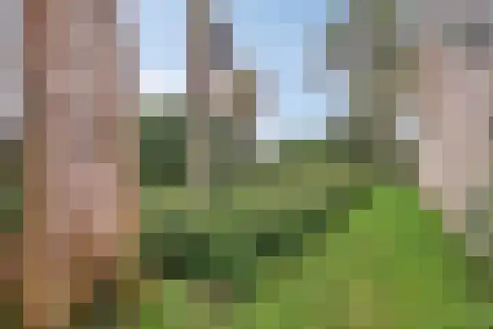 Wesemaelestraat 23 Wouw thumbnail 28