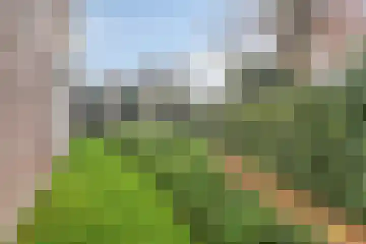 Wesemaelestraat 23 Wouw thumbnail 29