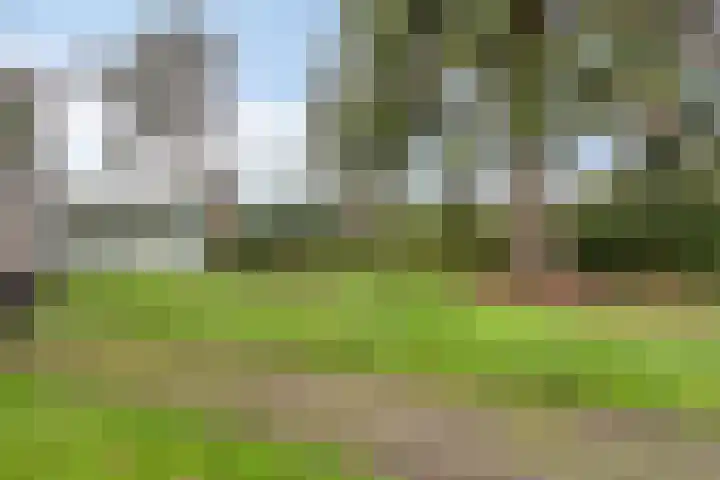 Wesemaelestraat 23 Wouw thumbnail 30
