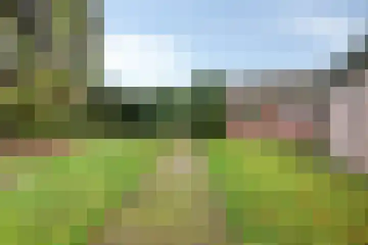 Wesemaelestraat 23 Wouw thumbnail 31