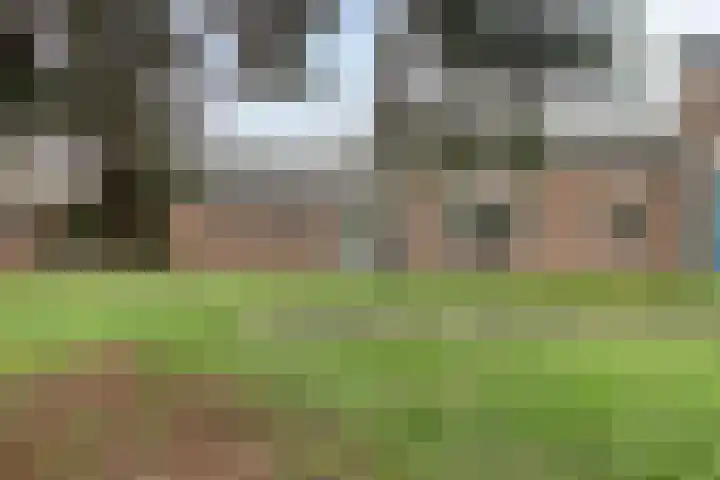 Wesemaelestraat 23 Wouw thumbnail 32