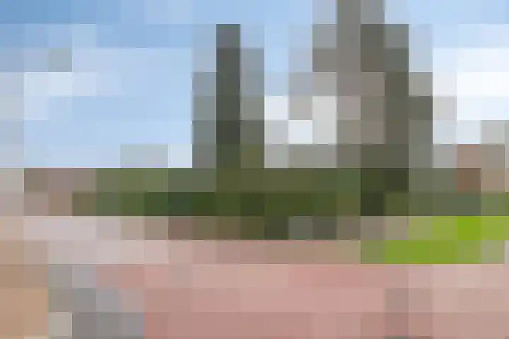Wesemaelestraat 23 Wouw thumbnail 34