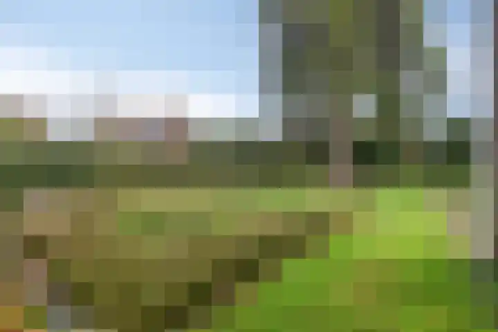 Wesemaelestraat 23 Wouw thumbnail 6