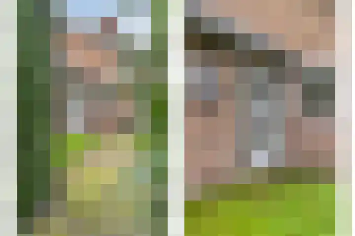 Wesemaelestraat 23 Wouw thumbnail 7