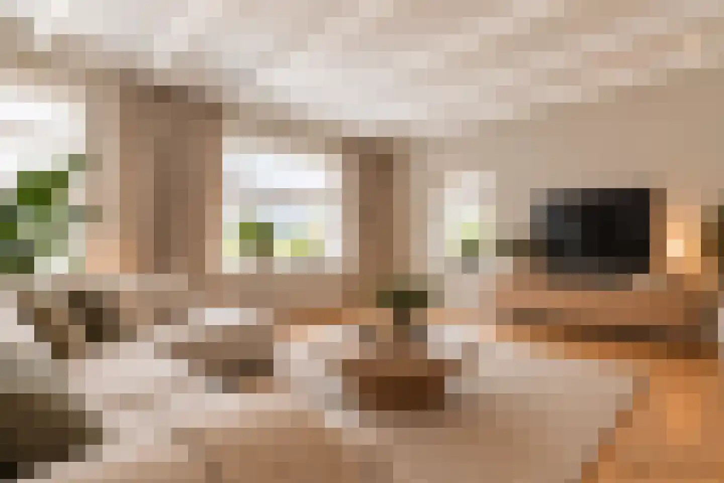 Wesemaelestraat 50 Wouw thumbnail 11