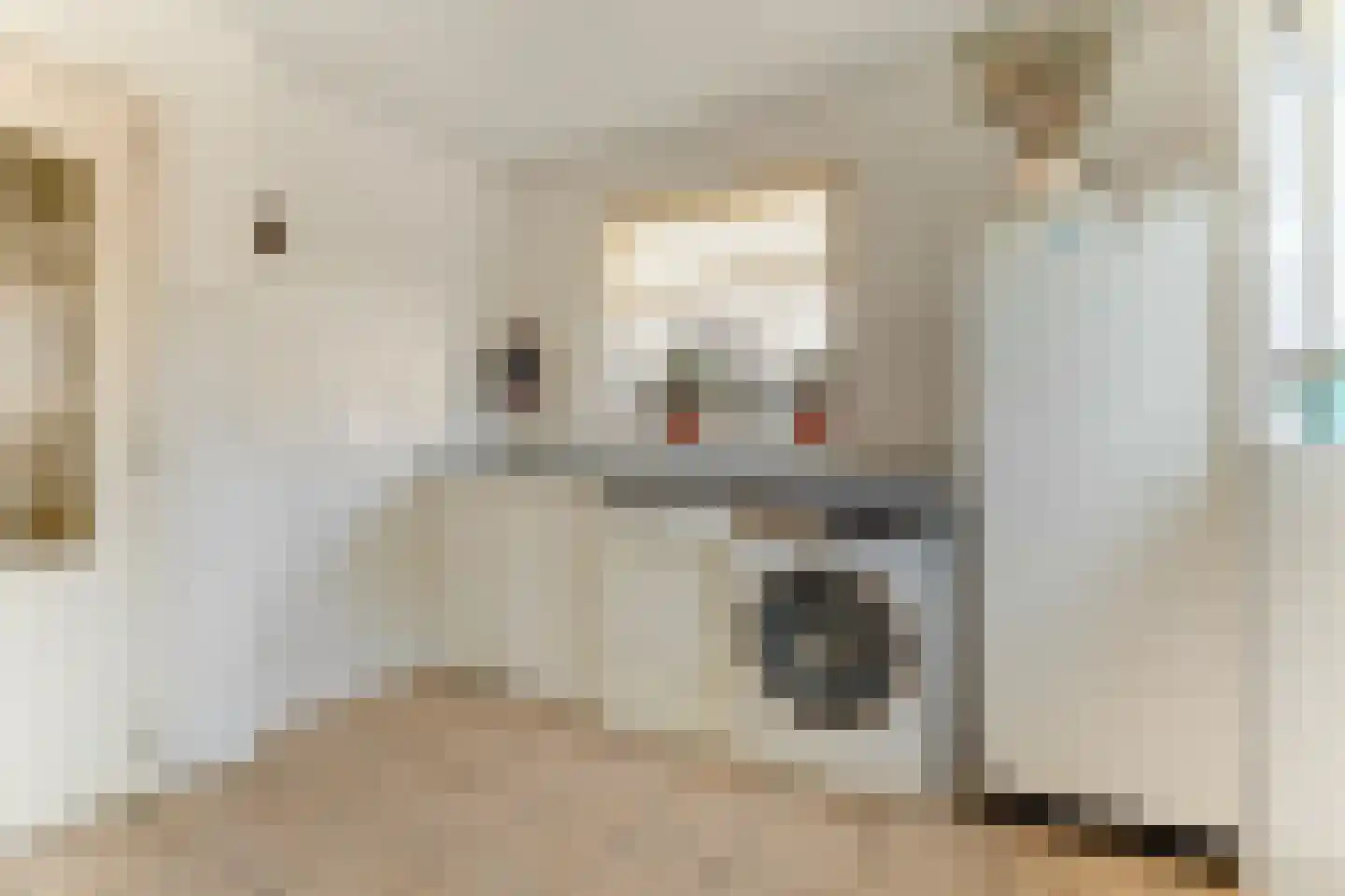 Wesemaelestraat 50 Wouw thumbnail 19