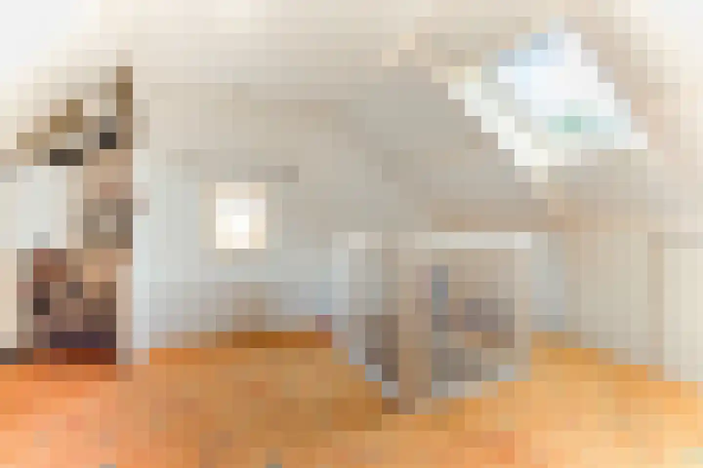 Wesemaelestraat 50 Wouw thumbnail 36