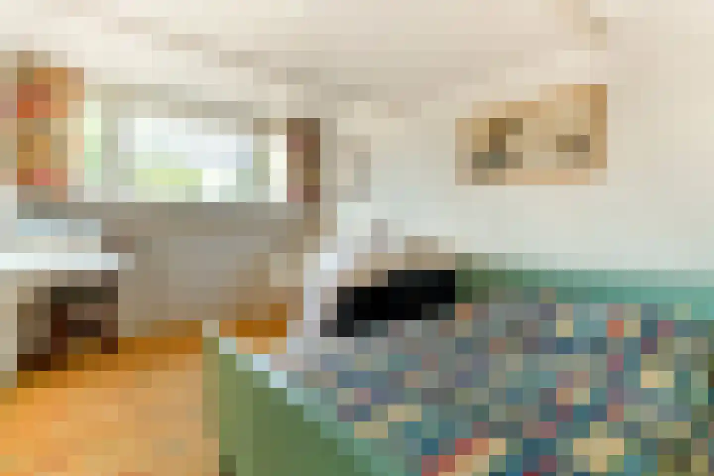 Wesemaelestraat 50 Wouw thumbnail 37
